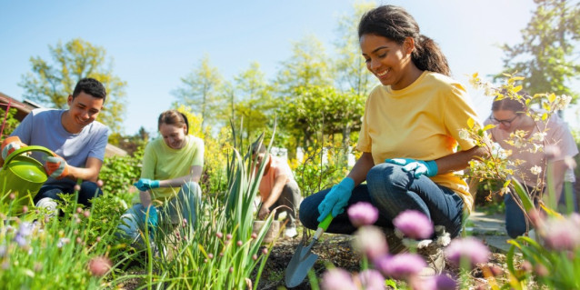 Familie im Schrebergarten